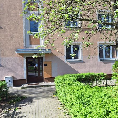 Apartament Katrin II Stary Toruń Exteriér fotografie